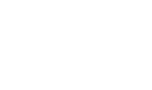 Flippin' Burger
